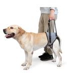 Dotoner Dog Lifting Harness Dog Support Harness for Back Legs Soft Dog Support Sling for Injured Disabled Small Medium Large Dogs Dog Sling for Back Legs Dog Lift Support Harness(XL Grey) XL Grey - Buy Online on SooperMarket.com