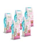 MjAMjAM Premium Snack Box for Cats - Culinary Salmon Fillet 5 x 50g Pack - Ideal International Shipping - Buy Online on SooperMarket.com