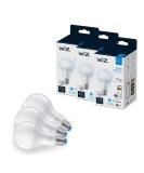WiZ Connected 3-Pack Daylight High Lumen 100W A21 Smart WiFi Light Bulb Dimmable 5000K Compatible with Alexa and Google Home Assistant No Hub Required 3 Bulbs A21 Daylight (5000k) 3 Count (Pack of 1) - Buy Online on SooperMarket.com