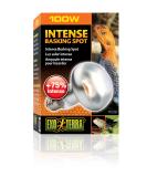 Exo Terra Intense Basking Spot heat spot lamp R25 100W socket E27 1 piece (1 pack) 100W - Buy Online on SooperMarket.com