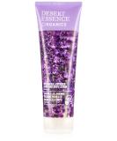 Desert Essence Bulgarian Lavender Hand & Body Lotion - 8 Fl Ounce - Calming - Shea Butter - Aloe Vera - Soothes & Nurtures - No Oily Residue - Honeysuckle - No Parabens - Buy Online on SooperMarket.com