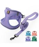 Bella & Pal dog harness Small dogs with a leash step-in dishes made of Air mesh anti-train reflective breathable breastware puppy dishes for small dogs cat dishes lavender S S (35-40cm breast size) lavender - Buy Online on SooperMarket.com