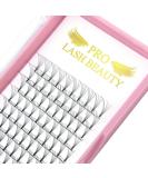 Premade Fans Eyelash Extensions 5D 3D 7D 8D 10D Short Stem Premade Volume Eyelash Extensions 3D 5D 7D Volume Lash Extensions .07 .10 Pre made Lash Fans C D Curl 9-15 MIX(5D-D-0.10 9-15mm) 9-15 mix 5D-D-0.10 - Buy Online on SooperMarket.com