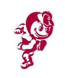 Craftique Ohio State Magnet (Angry Brutus Magnet (3''4''6''12''), 6 in) - Buy Online on SooperMarket.com