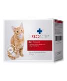 Recoactive Heart Tonic for Cats - 3x90ml Supplement for Cardiac Health Taurine & Omega-3 - Buy Online on SooperMarket.com