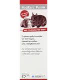 Alfavet Rodicare Pulmo to support the airways of guinea pigs and small rodents supplementary feed 20ml dosing syringe - Buy Online on SooperMarket.com