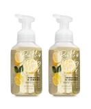 Bath & Body Works Sunshine & Lemons Foaming Hand Soap 8.75 oz 259 ml each (Set of 2) Lemons 8.75 Fl Oz (Pack of 2) - Buy Online on SooperMarket.com