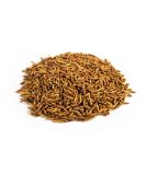 Crunchy Critters Edible Insects Half a pint of Mealworms - 59g - Buy Online on SooperMarket.com