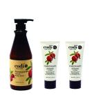 Pomegranate Body and Hand Lotion Set | Fast Absorbing, Non-Greasy Formula | 1 750ml Bottle & 2 100ml Tubes | For Women and Men - Buy Online on SooperMarket.com