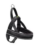 HUNTER RACING Norwegian Harness - Size ML (60-75 cm) - Black | Premium E-commerce Shipping Worldwide - Buy Online on SooperMarket.com