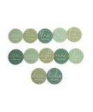 Pearhead Acrylic Monthly Milestone Photo Cards  Gender-Neutral Babys First Year Photo Prop Discs  Pregnancy Journey Milestone Markers  Sage Sage Milestone Discs - Buy Online on SooperMarket.com