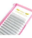 Finished compartments 3D-D0.07-Mix short stem eyelash extension Finished eyelash compartments Volume eyelashes 0.07 D Curl (3D-D 07.8-14 mm) 8-14 mm 3D-D-07-8-14Mix - Buy Online on SooperMarket.com
