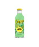 Calypso Lemonade | Made with Real Fruit and Natural Flavors | Kiwi Lemonade, 16 Fl Oz (Pack of 12) - Buy Online on SooperMarket.com