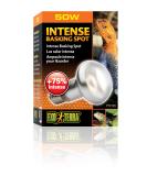 Exo Terra Intense Basking Spot heat spot lamp yellow R20 50W socket E27 1 piece (1 pack) 1 piece (1 pack) 50W - Buy Online on SooperMarket.com
