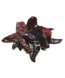 Guajillo Chilli 100g - Premium Dried Chilli Selection by CHILLIESontheWEB - Buy Online on SooperMarket.com
