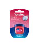 Vaseline Lip Therapy Rosy | Nourishing lip balm for optimal moisture (1 x 1 x 7g) Rose (1 pack) - Buy Online on SooperMarket.com