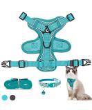 FINEASY Green Cat Harness & Lead Set with Reflective Strip - Adjustable & Escape Proof Kitten Vest Harness for Walking - Ideal for Pet Kitten, Dog, Rabbit - Size M - Buy Online on SooperMarket.com