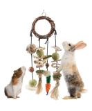 ERKOON Rabbit Hamster Hanging Chew Toys - Applewood Boredom Breaker with Grass Ball and Carrot Treats for Small Pets - Buy Online on SooperMarket.com