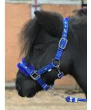 Equipride Horse Print Fur Padded Nylon Headcollars with Lead Rope Royal Blue (Mini Shetland) Royal Blue Mini Shetland - Buy Online on SooperMarket.com