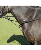 Windsor Leather Standing Martingale in Black or Havana Cob Black - Buy Online on SooperMarket.com