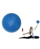 Exercise Ball Small, 6 inch Small Ball for Pilates with Pump, 6 in Barre Ball, 6" Stability Ball Mini Yoga Ball for Women Workout Fitness Physical Therapy PT blue - Buy Online on SooperMarket.com