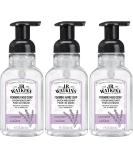 J.R. Watkins Foaming Hand Soap with Pump Dispenser Moisturizing Foam Hand Wash All Natural Alcohol-Free Cruelty-Free USA Made Lavender 9 fl oz 3 Pack Lavender 9 Fl Oz (Pack of 3) - Buy Online on SooperMarket.com