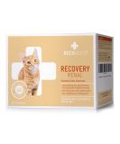 Recoactiv Renal Renal for Cats 3 x 90 ml high-caloric diet all-in feed for kidney dysfunction and increased energy requirement in the convalescence for weight gain 90 ml (3-pack) - Buy Online on SooperMarket.com
