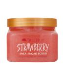 Tree Hut Shea Sugar Body Scrub Strawberry 18oz  With Single Fragrance-Free Makeup Remover Cleansing Towelettes - Buy Online on SooperMarket.com