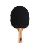 JOOLA Omega Control Ping Pong Paddle - Tournament Performance Table Tennis Racket for Advanced Training - Flared Handle with Adapter 32 Rubber - Designed for Control - Buy Online on SooperMarket.com
