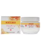 Burt's Bees Truly Glowing Replenishing Gel Cream  Moisturizer with Hydrate and Glow Complex for Normal and Combination Skin  1.8 Fluid Ounces - Buy Online on SooperMarket.com