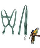 Felenny Bird Dishes & Adjustable Leash - Essential Outdoor Accessories for Scarlet Red Ara Sun Conure & Nymphensittich (Green Small) - Buy Online on SooperMarket.com