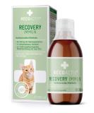 Recoactiv recovery immune for cats high-caloric diet all-in feed for weight gain and nutritional restoration in the event of malnutrition and high energy requirement 280 ml 280 ml (1 Pack) - Buy Online on SooperMarket.com