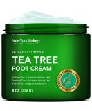 New York Biology Tea Tree Oil Foot Cream for Dry Cracked Feet, Athletes Foot, Nail Fungus, Jock Itch, Ringworm, Cracked Heels and Itchy Skin  Pain Relieving Foot Cream - 8 oz Tea Tree 8 Ounce (Pack of 1) - Buy Online on SooperMarket.com