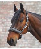 Waldhausen halter elegant WB gray - Buy Online on SooperMarket.com