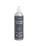 Renpure Plant-Based Beauty Detoxifying Charcoal Clarify + Deep Cleanse Shampoo  16 Fluid Ounce - Buy Online on SooperMarket.com