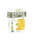Big Green Organic Food- Organic Millet Penne, Gluten-Free, Lectin-Free, Non-GMO, Vegan, 6g of Protein, Wheat and Rice Alternative, 8.8oz (1) - Buy Online on SooperMarket.com