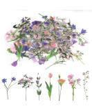 80 Pieces Natural Flower Stickers for Scrapbooking Self-Adhesive Scrapbooking Stickers Supplies Journal for Adult Card Making Letters DIY (Style A) - Buy Online on SooperMarket.com