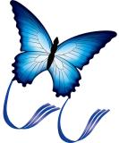 HENGDA Butterfly Kite for Kids & Adults - Outdoor Single Line Kite with Flying Tools - Buy Online on SooperMarket.com