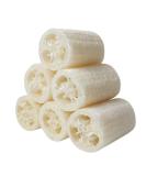 6 pieces Luffa sponge natural 10cm luffa cucumber remove Dead Skin for personal hygiene bath and shower cuisine low winged sponge peeling natural sponge (white - b) - Buy Online on SooperMarket.com