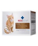 RECACACTIV Renaltan tonic for cats 3 x 90 ml with phosphate binder to reduce the phosphate recording from food and support for kidney function supplementary feed - Buy Online on SooperMarket.com