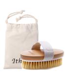 Ithyes Dry Brushing Body Brush Exfoliating Brush Natural Bristle Bath Brush for Remove Dead Skin Toxins Cellulite,Treatment,Improves Lymphatic Functions,Exfoliates,Stimulates Blood Circulation - Buy Online on SooperMarket.com