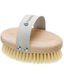 Hydrea London Dry Brushing Body Brush with Cactus Bristle - Dry Brush for Skin  Cellulite Remover  Skin Exfoliating Body Scrubber  Vegan Best Dry Brush for Flawless Skin  Helps Improve Lymphatic Drainage - FSC  Certified... - Buy Online on SooperMarket.com