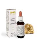 Buy D.O.S. Specialit   al Tartufo 30ml White Truffle Aroma Concentrate - Premium Professional Culinary Ingredient - Buy Online on SooperMarket.com