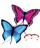 TOY Life Butterfly Kite for Kids Easy to Fly Large Kids Kite 2 Pack- Kites for Kids and Adults Easy to Fly Big Beach Kites for Kids age 4-8-12 Idea Gift for Children Outdoor Game Activities Beach Trip - Buy Online on SooperMarket.com