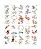Everjoy Watercolor Flowers Birds Temporary Tattoos - 20 Pcs | Waterproof Designs for Women and Men - Buy Online on SooperMarket.com