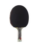 JOOLA Omega Speed - Table Tennis Racket for Advanced Training with Flared Handle - Tournament Level Ping Pong Paddle with Vizon Table Tennis Rubber- Designed for Speed Green - Buy Online on SooperMarket.com