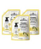 J.R. Watkins Foaming Hand Soap Refill Moisturizing Foam Hand Wash All Natural Alcohol-Free Cruelty-Free USA Made Lemon 28 fl oz 3 Pack Lemon Refill 28 Fl Oz (Pack of 3) - Buy Online on SooperMarket.com