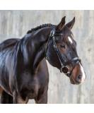 Shop Sunride English Combined Bridle Berlin with Reins - Soft Real Leather Adjustable & Anatomical for Ponies - Black - Buy Online on SooperMarket.com