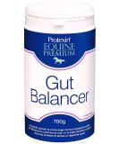Protexin Equine Premium Gut Balancer 700 g - Buy Online on SooperMarket.com