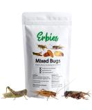 Erbies Edible Bugs Mixed Trail Mix, 15g Bag, Seasoned and Crunchy Insects, Crickets, Grasshoppers, Silkworm Pupae, and Sago Worms, Protein Packed Snack, Fun Gift Idea (1-Pack) 1 Count (Pack of 1) - Buy Online on SooperMarket.com